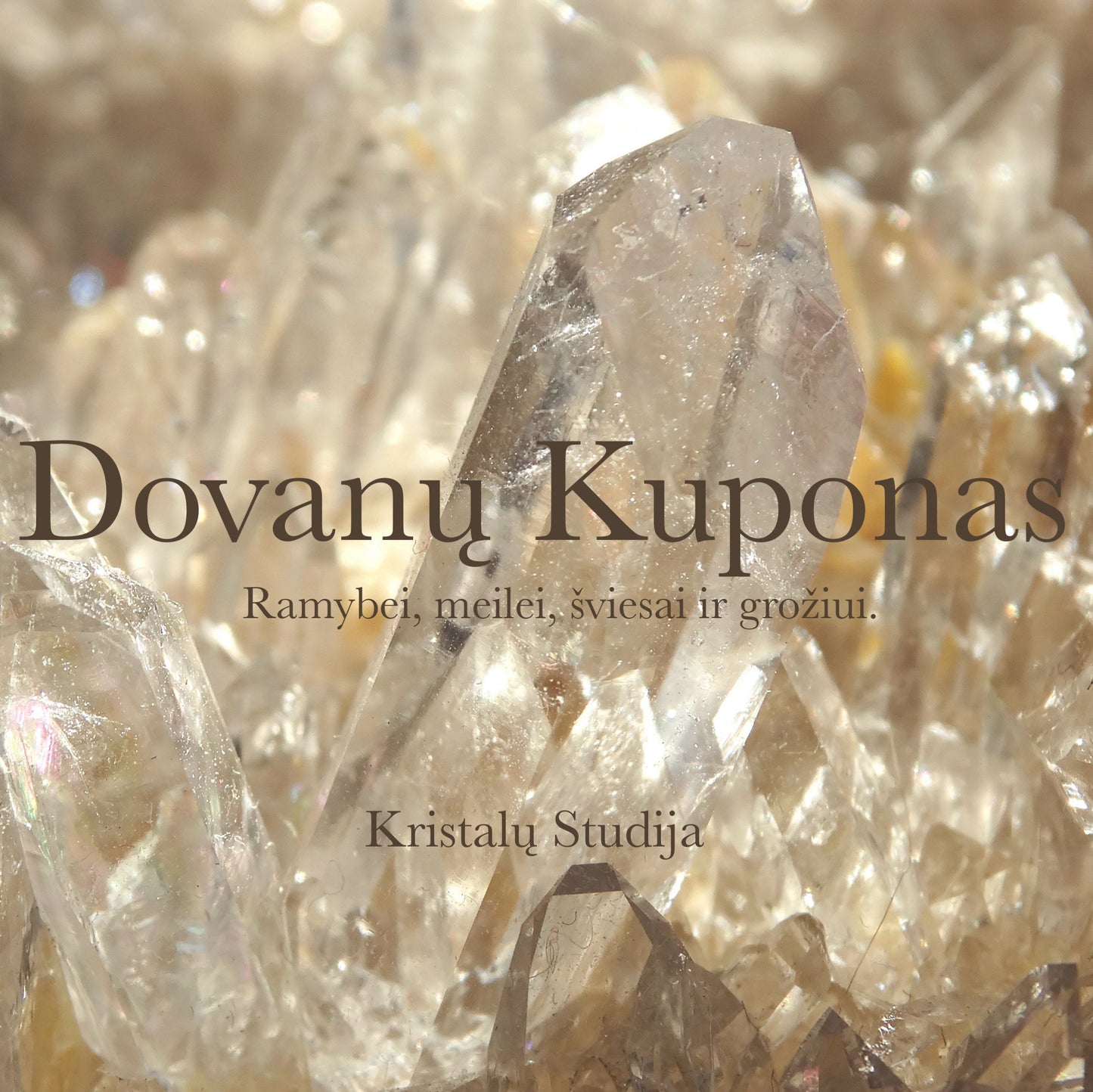 Dovanų kuponas