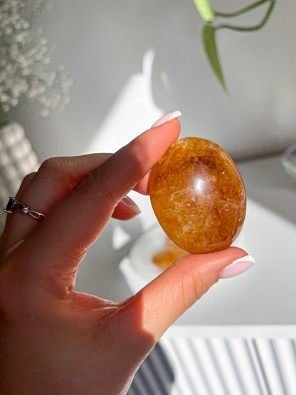 Auksinio Gyduolio (Golden Healer) Delninukas