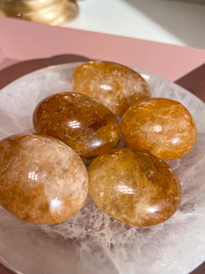 Auksinio Gyduolio (Golden Healer) Delninukas